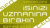 seoceoinfo